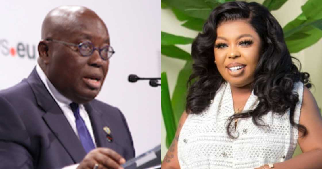 Afia Schwar begs President Akufo-Addo for Appointment After Campaigning for him