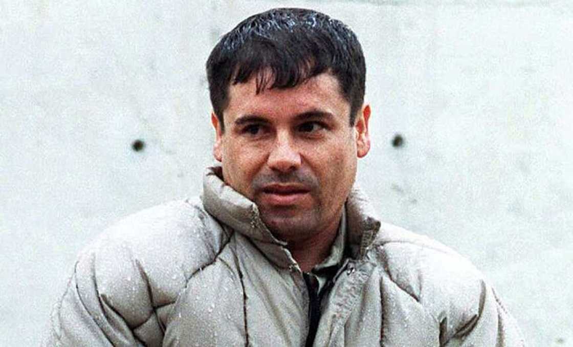 El Chapo's net worth El Chapo's net worth