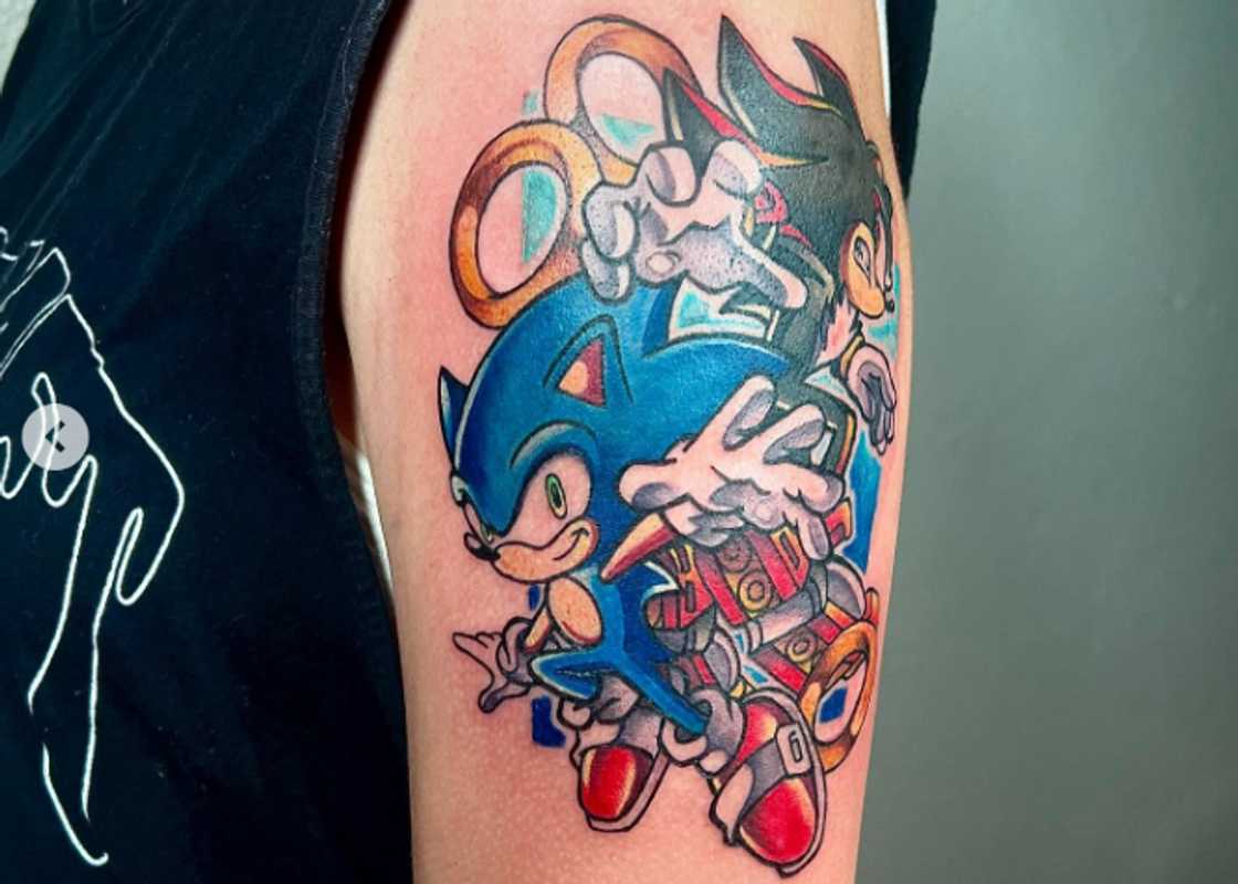 Sonic and Shadow in a sea of shells and shrooms Sonic and Shadow in a sea of shells and shrooms