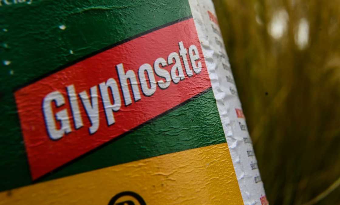The weedkiller glyphosate is one of the most popular herbicides in the world The weedkiller glyphosate is one of the most popular herbicides in the world