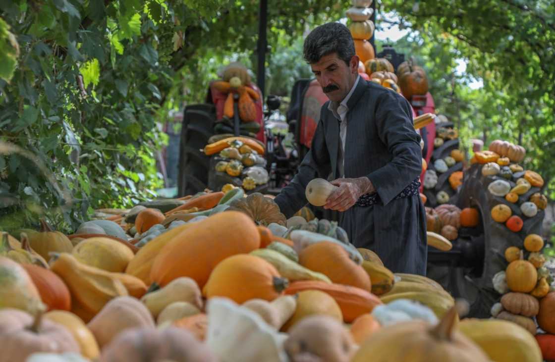 Iraqi Kurdish farmer Azad Muhamad, known as the Halabja model farmer, displays organic fresh produce at his farm near the Kurdish Iraqi town of Halabja Iraqi Kurdish farmer Azad Muhamad, known as the Halabja model farmer, displays organic fresh produce at his farm near the Kurdish Iraqi town of Halabja