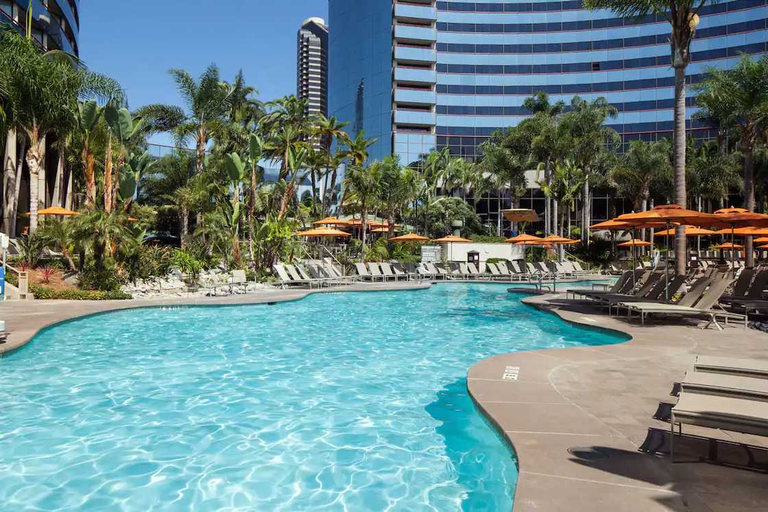 beachfront hotels beachfront hotels