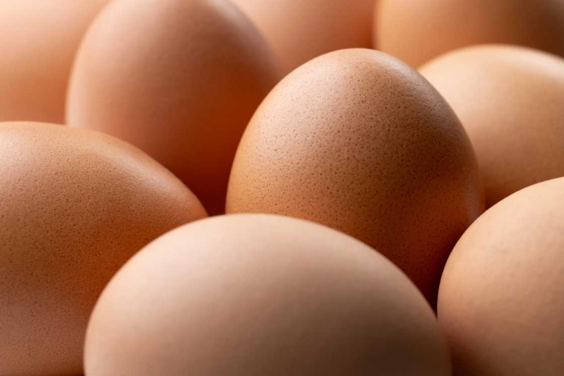 The import of Ukrainian eggs is causing cracks in unity The import of Ukrainian eggs is causing cracks in unity