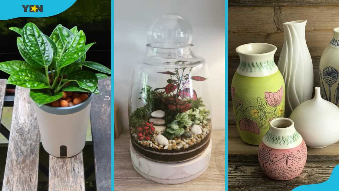 Self-watering planter, terrarium kit, and ceramic planters Self-watering planter, terrarium kit, and ceramic planters