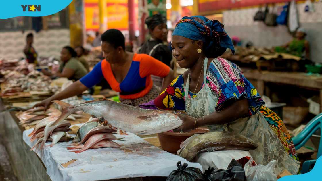 Women sell fish at Kaneshie market in Accra, Ghana. Women sell fish at Kaneshie market in Accra, Ghana.