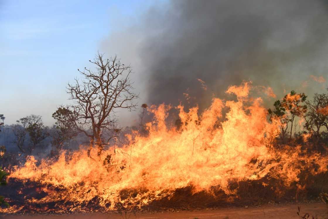 Flames consume an area of the Brasilia National Park in the Brazilian capital September 5, 2022