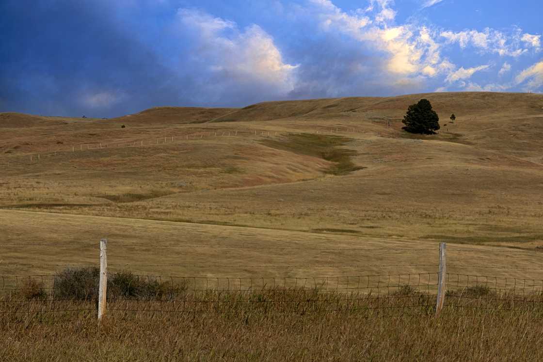 driest state in the US