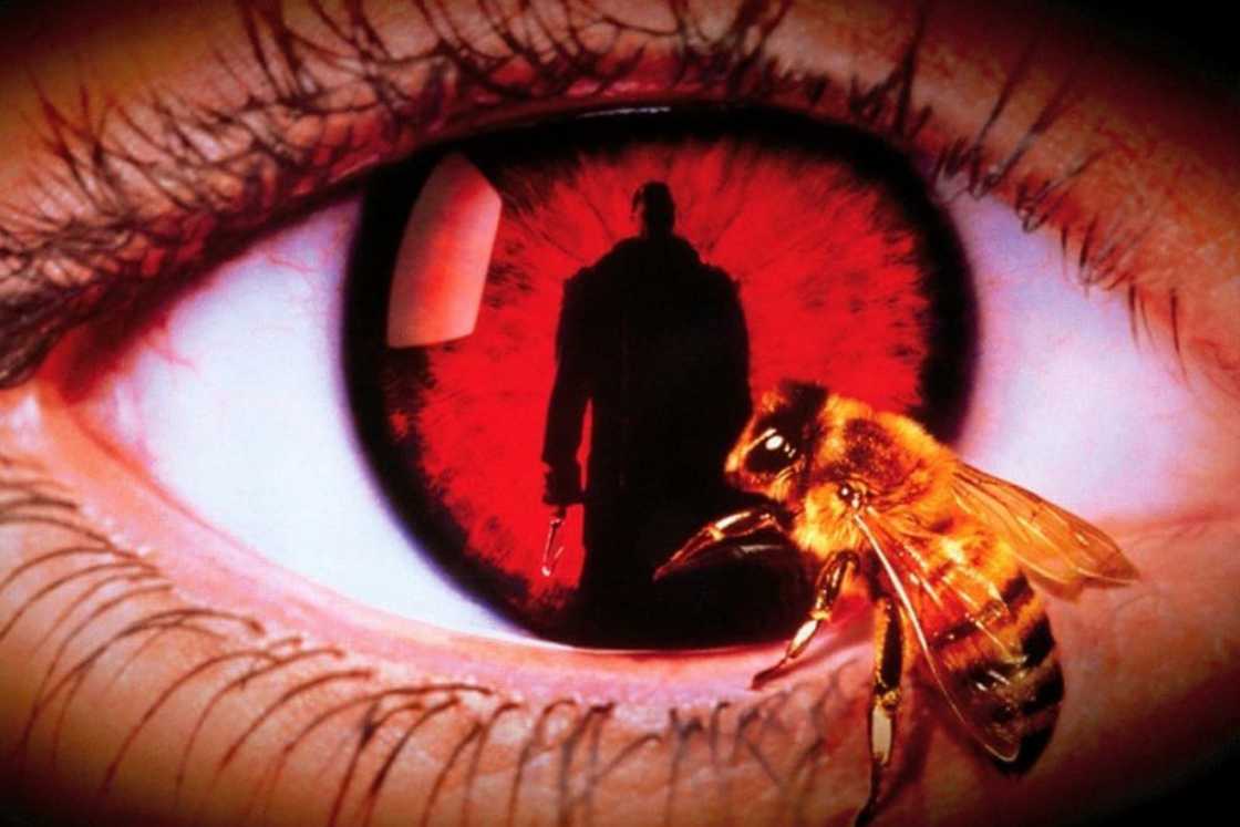The Candyman (1992) poster The Candyman (1992) poster