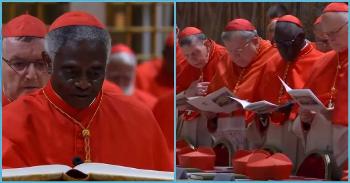Cardinal Peter Turkson, Pope Francis, The Vatican, Bishop Of Rome, Catholic Church, Conclave, Rome Cardinal Peter Turkson, Pope Francis, The Vatican, Bishop Of Rome, Catholic Church, Conclave, Rome