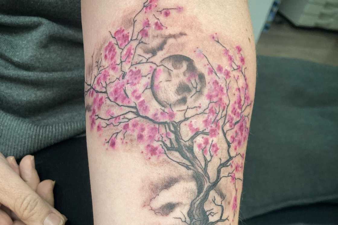 Men Japanese cherry blossom tree tattoo on the fore arm