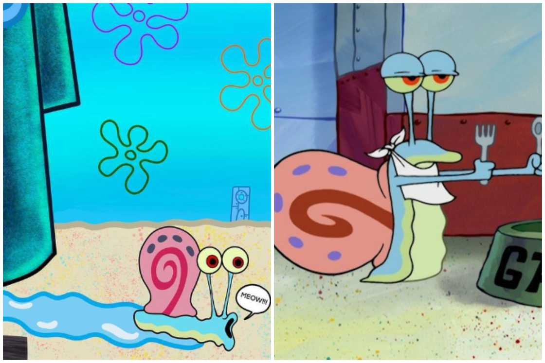 SpongeBob characters SpongeBob characters