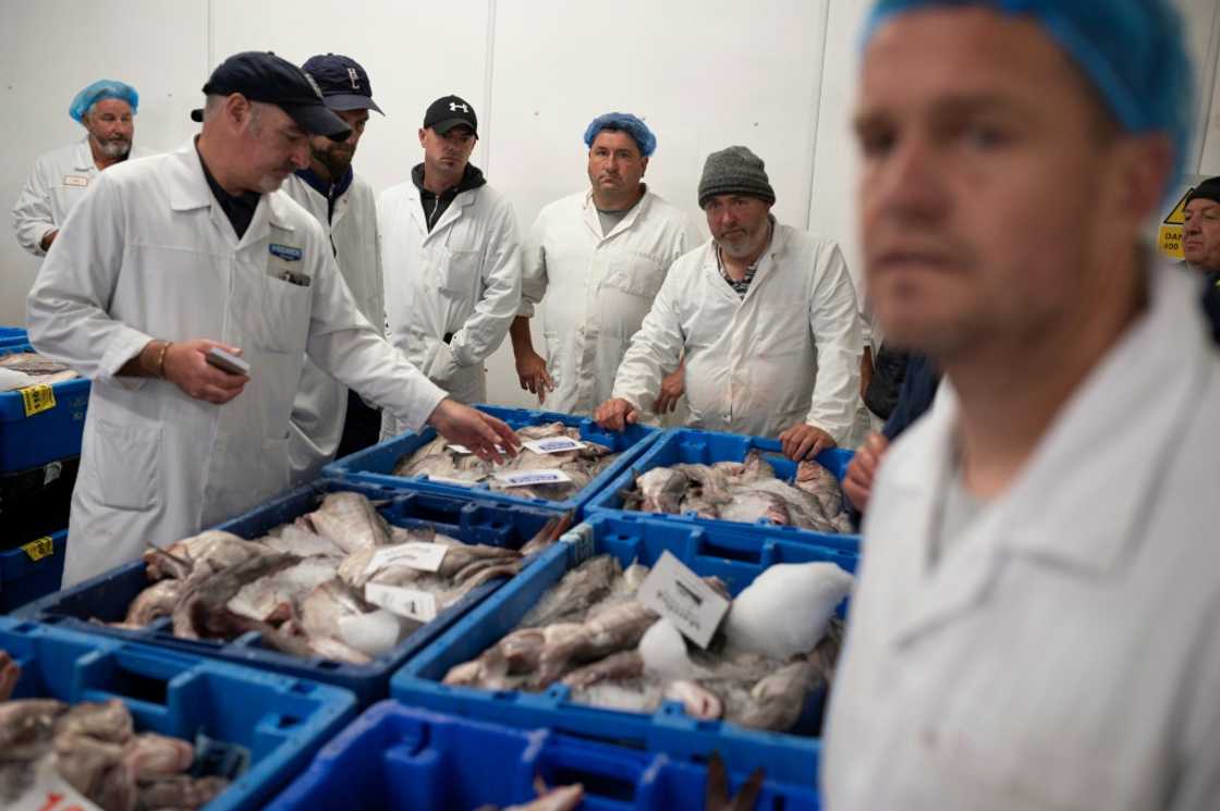 Then-prime minister Boris Johnson had visited Grimsby's fish market in 2019, promising Brexit would bring a 'massive boost' to the local fishing industry Then-prime minister Boris Johnson had visited Grimsby's fish market in 2019, promising Brexit would bring a 'massive boost' to the local fishing industry