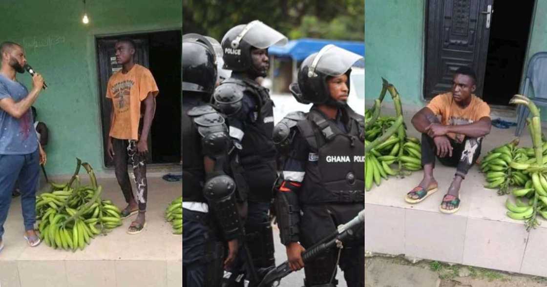 Man busted for stealing plantains to sell to raise money for lover's make-up (photos) Man busted for stealing plantains to sell to raise money for lover's make-up (photos)