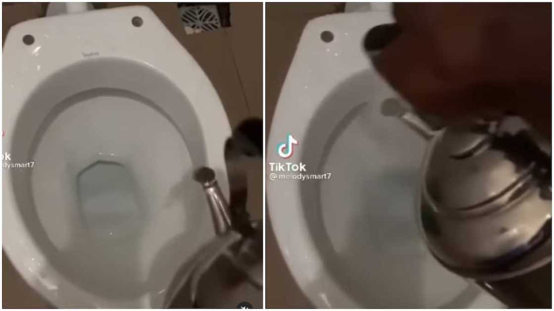 He said he is ready for any snake. He said he is ready for any snake.