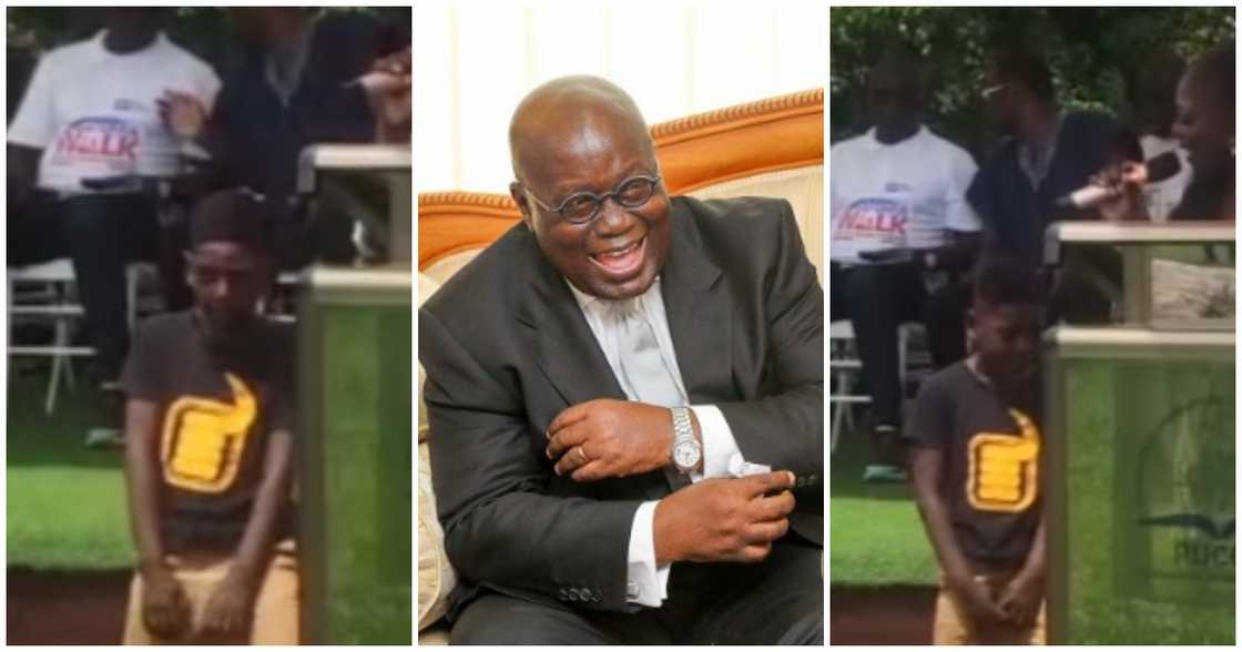 Lady Dentaa's son makes Nana Addo laugh