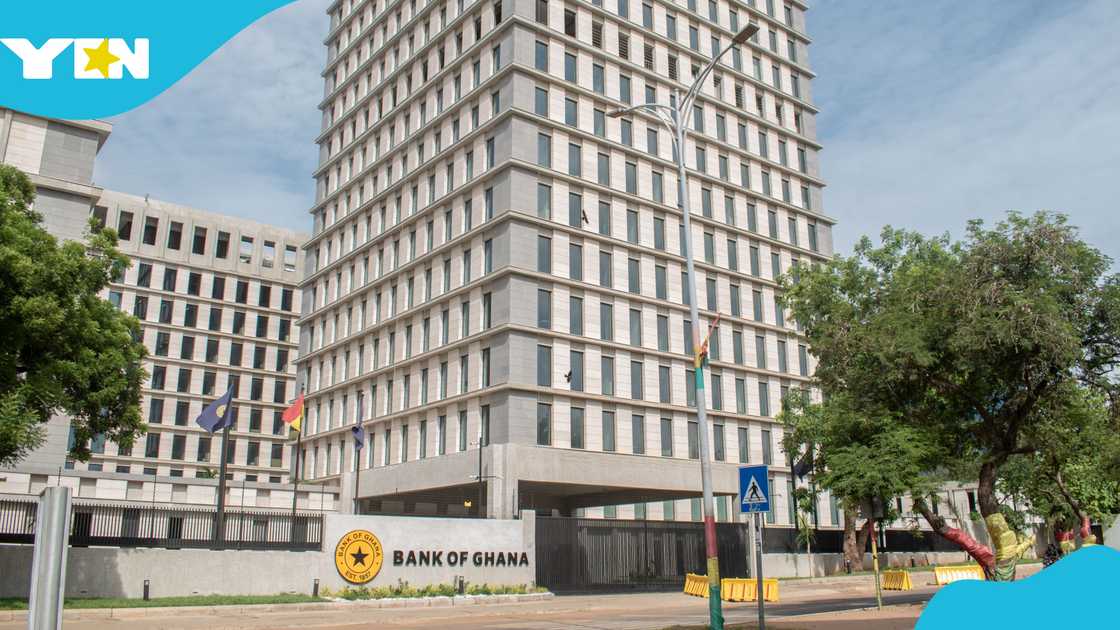 Bloomberg, Bank of Ghana, foreign currency, Ghana cedi, Depreciation, Ato Forson