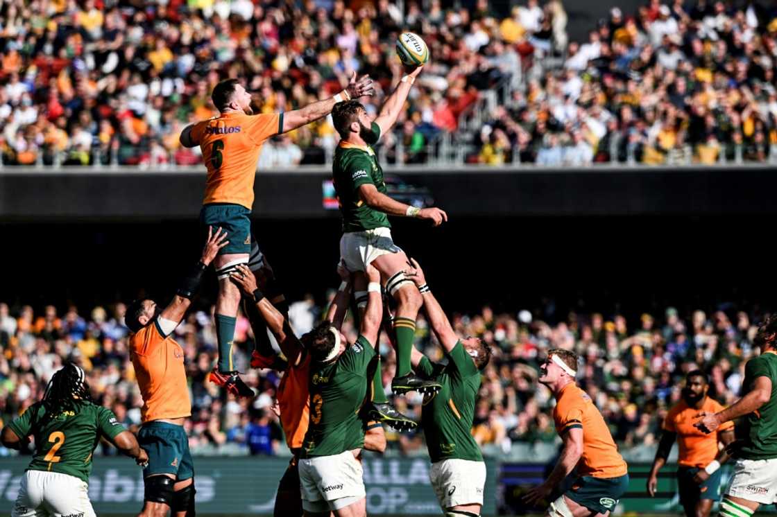 Australia lost six lineouts on their own throw but withstood South African pressure to win in Adelaide Australia lost six lineouts on their own throw but withstood South African pressure to win in Adelaide