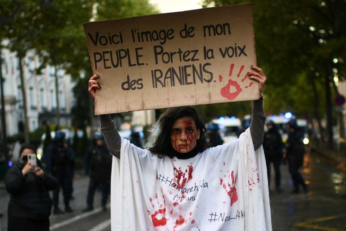 'This is the image of my people,' said a Paris protester's sign 'This is the image of my people,' said a Paris protester's sign