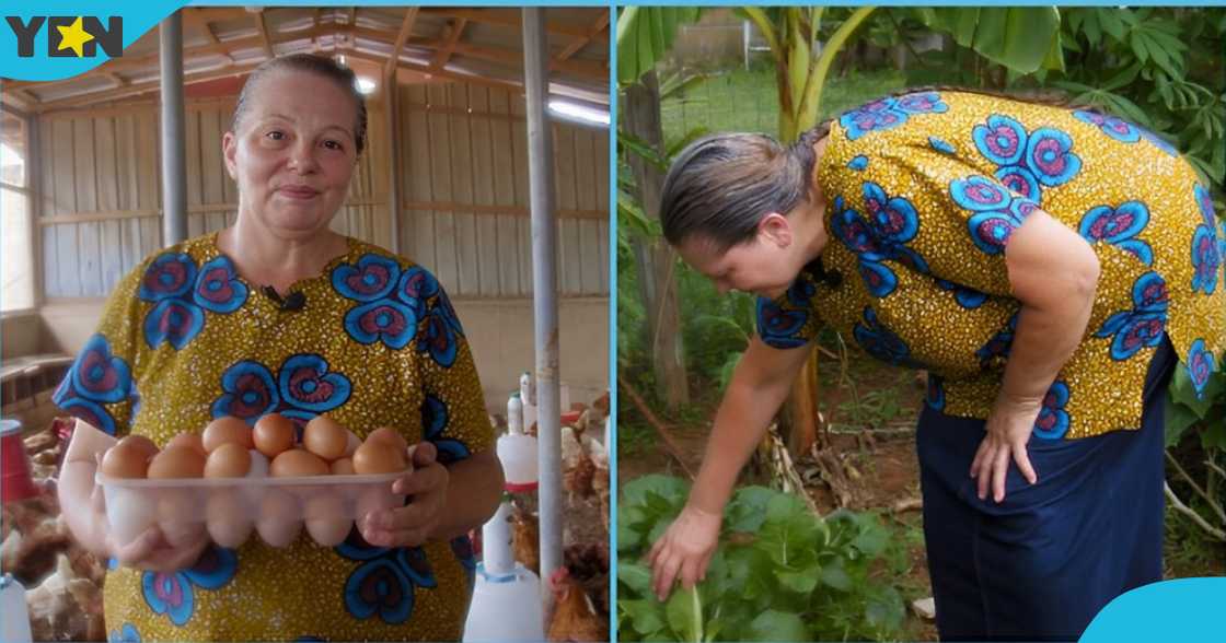 Photo of an American woman Photo of an American woman