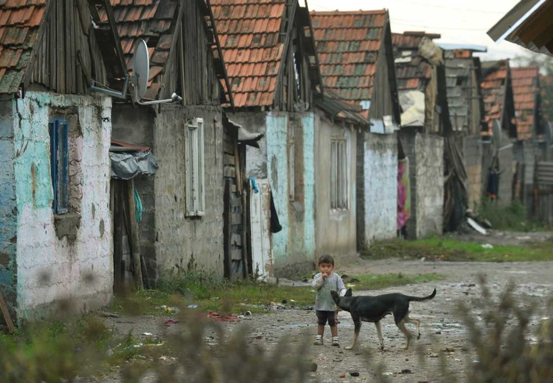 More than half of nearly 8,500 Roma in ten European countries said they lived in housing that was damp and dark or lacked proper sanitary facilities