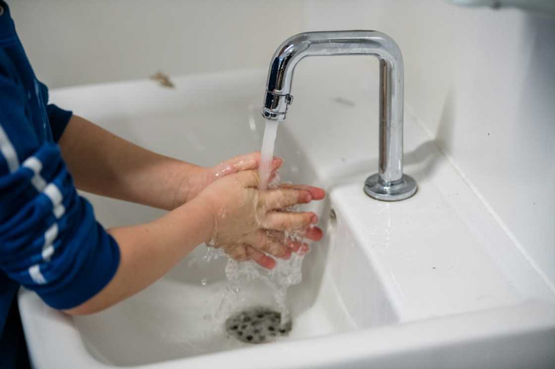Hand washing is advised to prevent infection with the pathogens S. aureus and E. coli, which are behind a huge numbers of deaths every year Hand washing is advised to prevent infection with the pathogens S. aureus and E. coli, which are behind a huge numbers of deaths every year