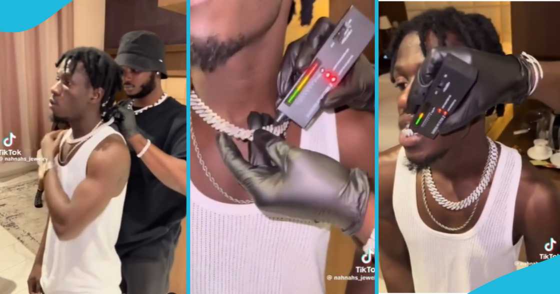 King Paluta King Paluta