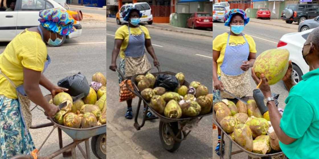 Rosemond Abena Nyamekye: Meet the Ghanaian woman earning a living from selling coconuts Rosemond Abena Nyamekye: Meet the Ghanaian woman earning a living from selling coconuts