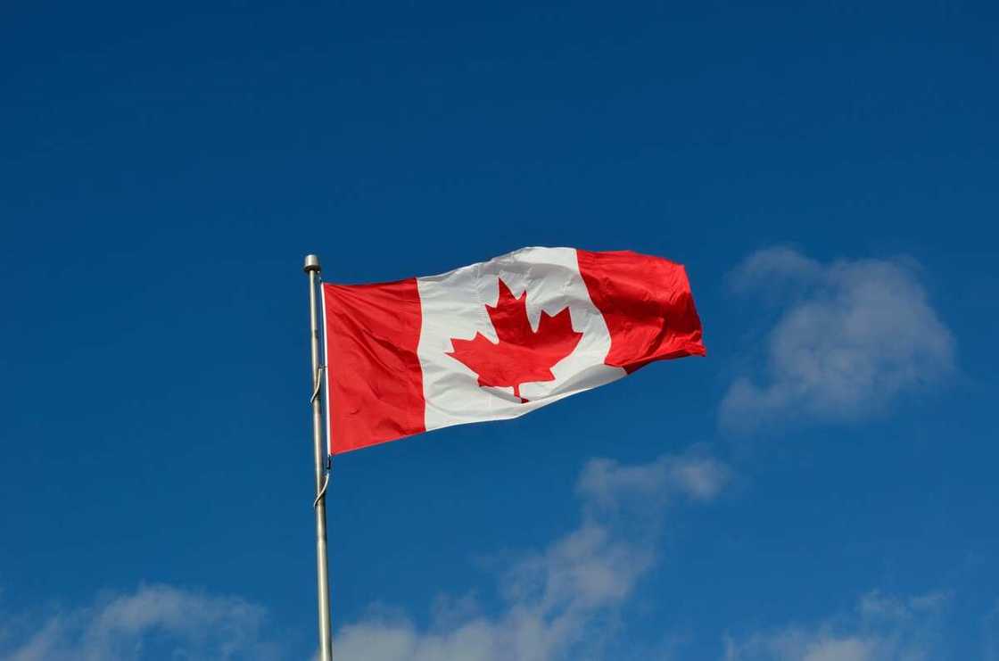 canadian flag canadian flag