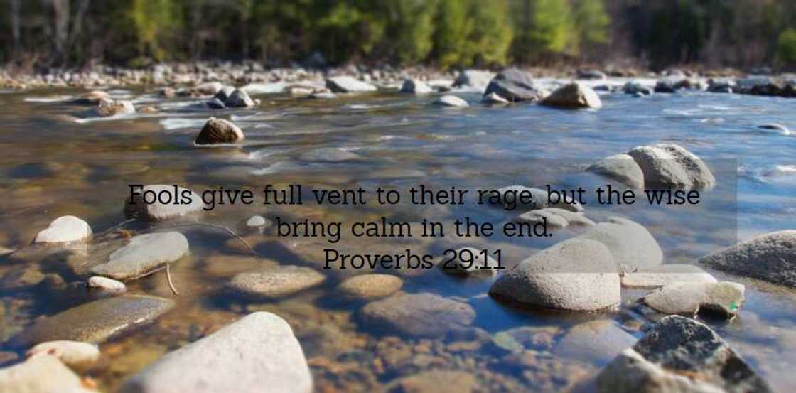 words of wisdom words of wisdom