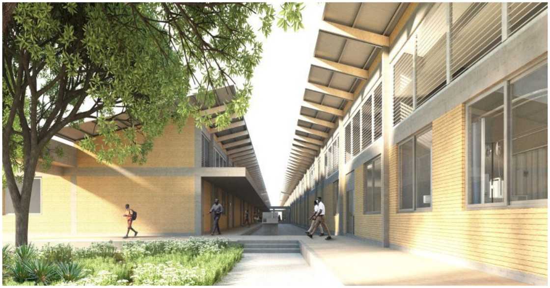 The hospital blocks will be divided by pathways The hospital blocks will be divided by pathways