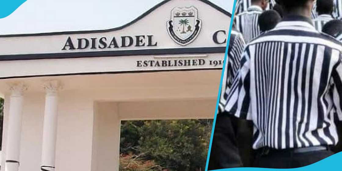 Adisadel College assault