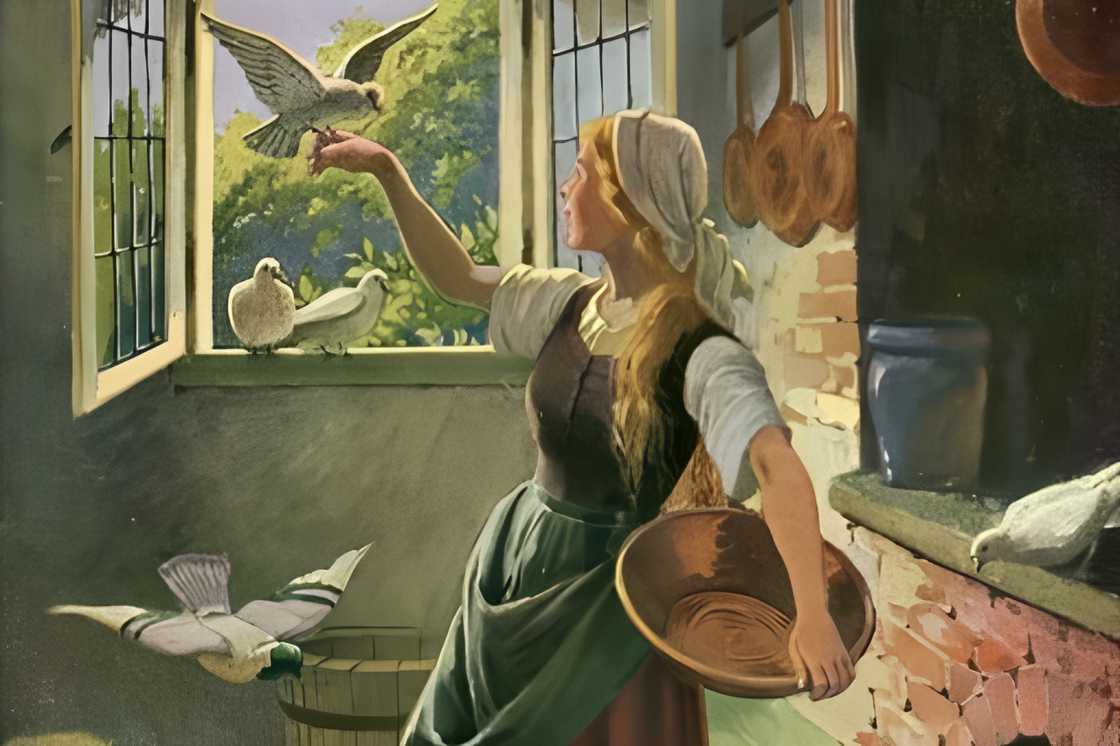 Cinderella in a rustic kitchen Cinderella in a rustic kitchen