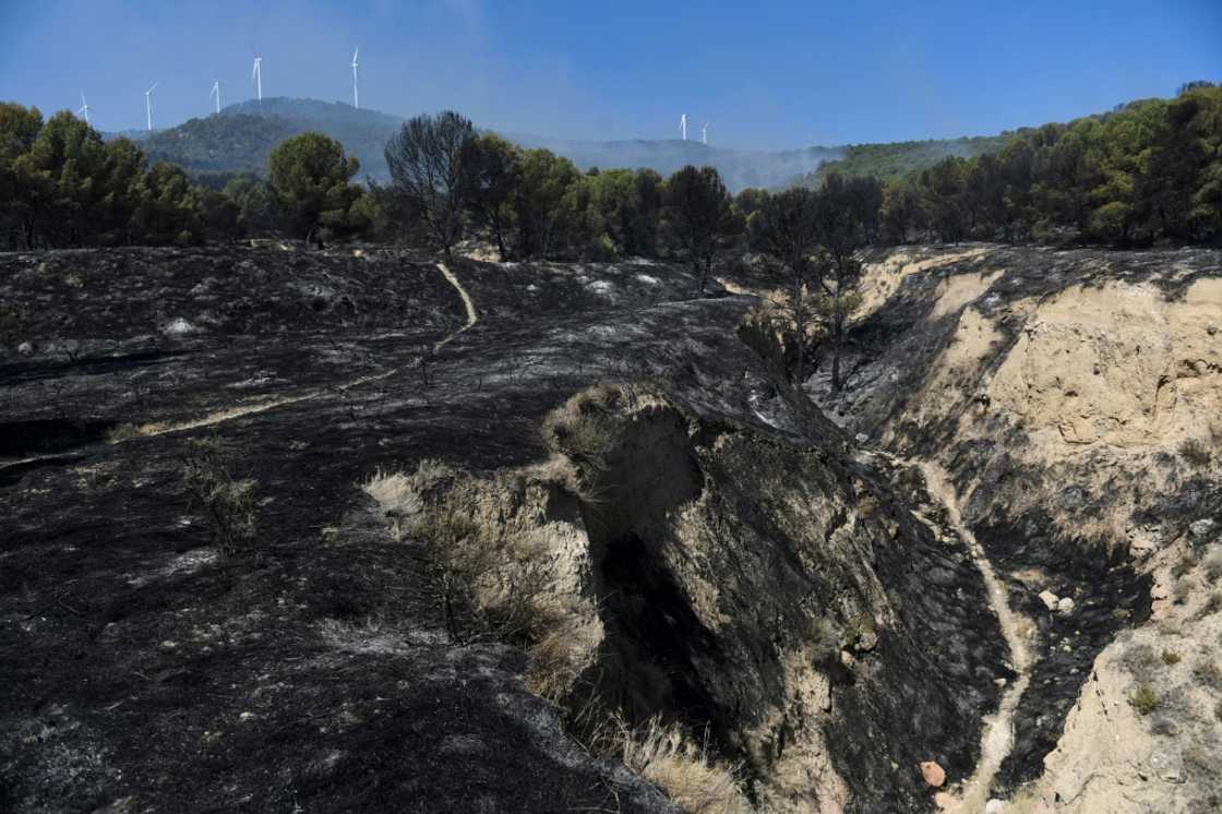 So far this year, Spain has suffered 391 wildfires, destroying a 271,020 hectares of land, according to the European Forest Fire Information System So far this year, Spain has suffered 391 wildfires, destroying a 271,020 hectares of land, according to the European Forest Fire Information System