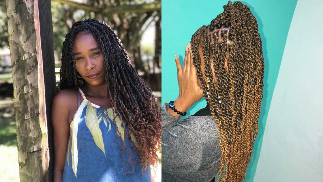 rasta braids rasta braids