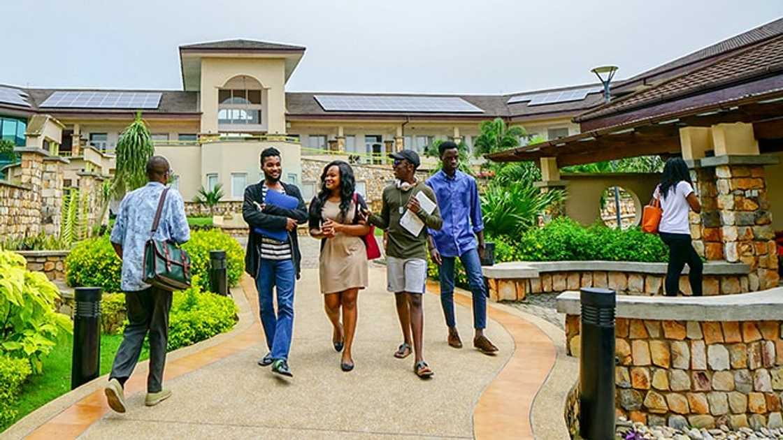 Ashesi, Bempong, Plaintain Chips, University, Unemployment, Ghana, Youth Ashesi, Bempong, Plaintain Chips, University, Unemployment, Ghana, Youth