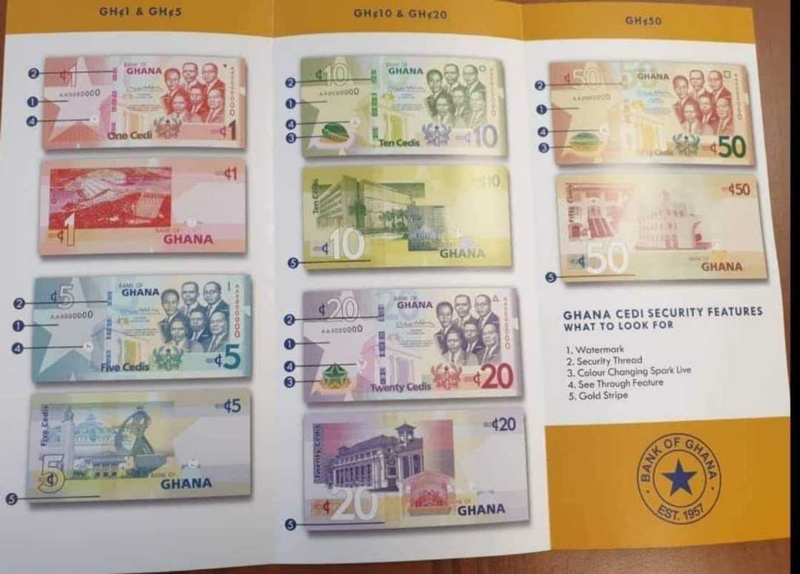 How are new cedi notes different from the old ones?: spot the difference