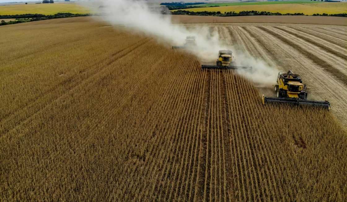 Brazil passed the United States as the world's biggest soy and beef exporter more than a decade ago