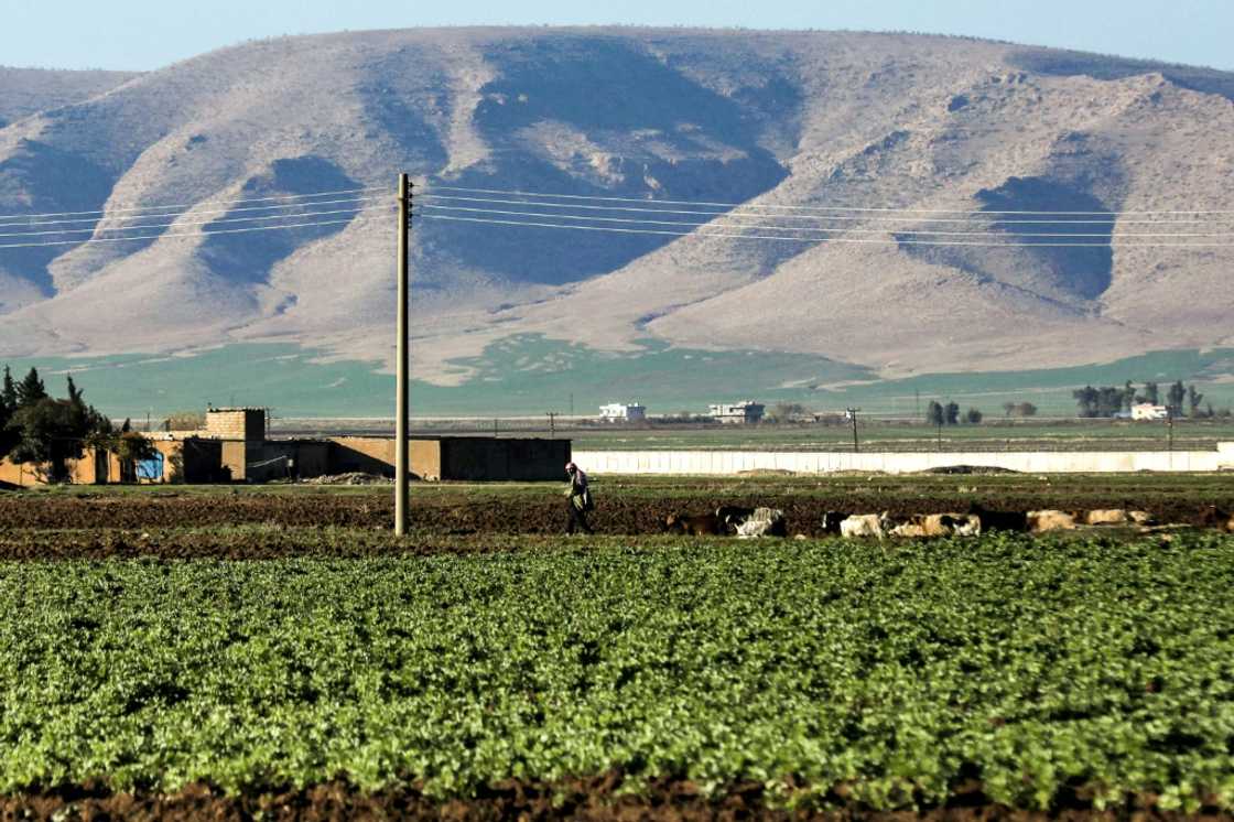 Agriculture was once a pillar of northeast Syria's economy, but years of war and the effects of climate change have dealt a blow to farmers Agriculture was once a pillar of northeast Syria's economy, but years of war and the effects of climate change have dealt a blow to farmers