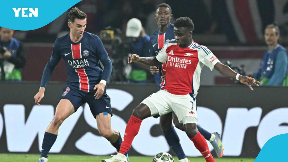 PSG vs Arsenal: Mysterious Cat Predicts Champions League Final Winner