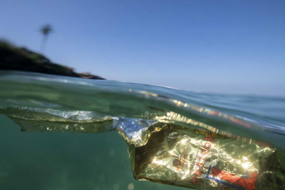 There are an estimated 170 trillion pieces of plastic in the world's oceans today There are an estimated 170 trillion pieces of plastic in the world's oceans today