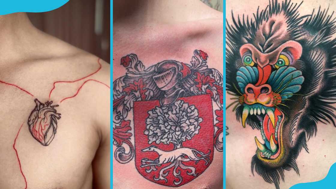 Chest brother designs Chest brother designs