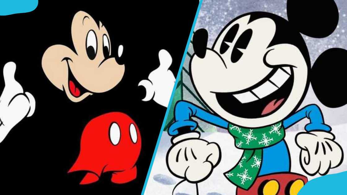 Mickey Mouse Mickey Mouse