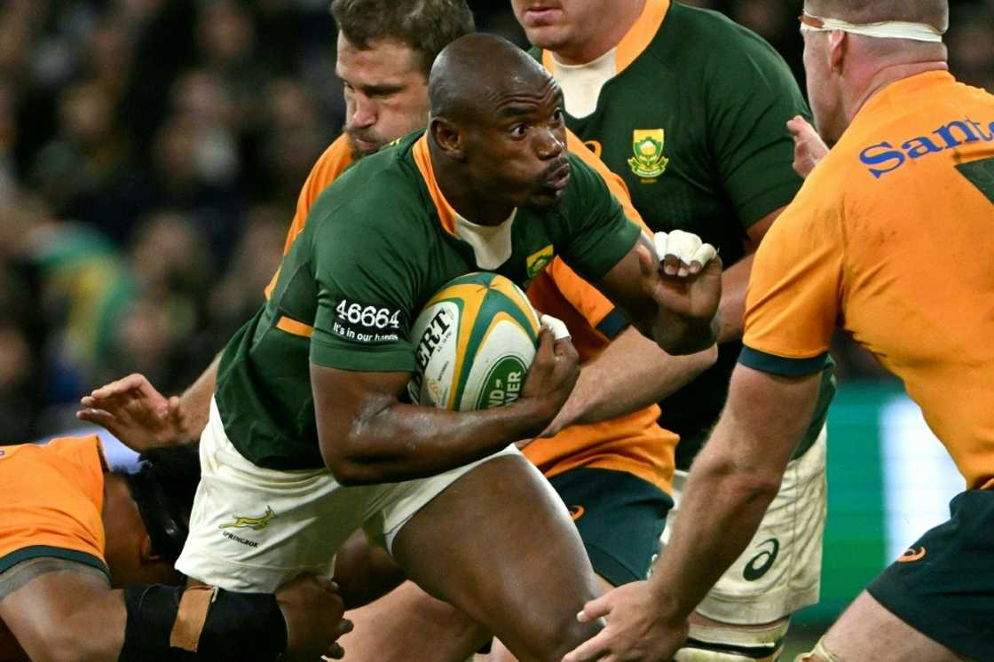 South Africa wing Makazole Mapimpi (C) is one of six changes made for the Springboks' concluding Autumn Nations Series international against England South Africa wing Makazole Mapimpi (C) is one of six changes made for the Springboks' concluding Autumn Nations Series international against England