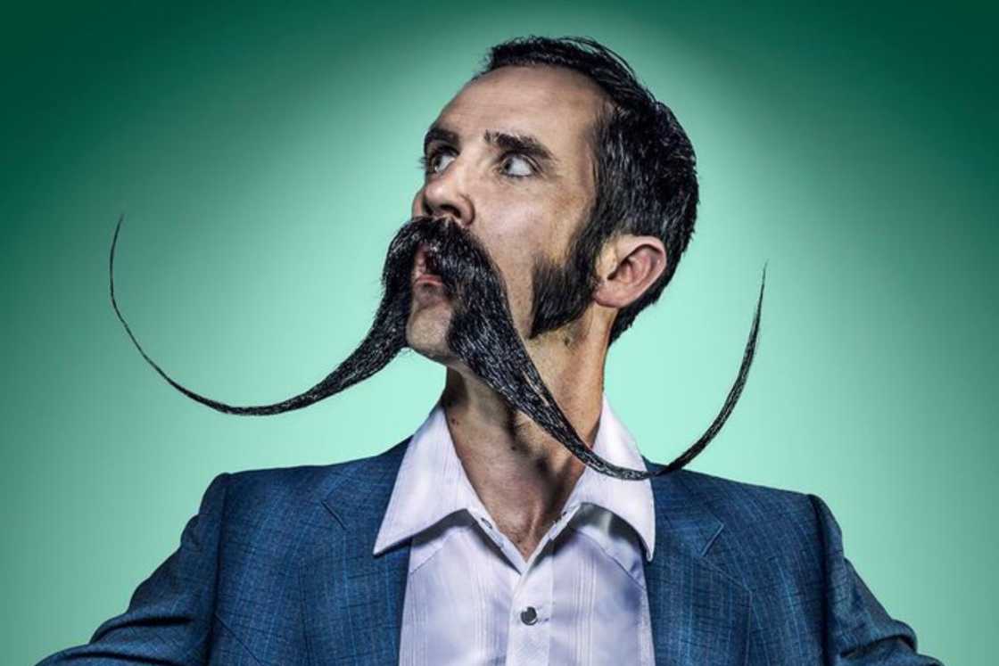 Fu Manchu moustache Fu Manchu moustache