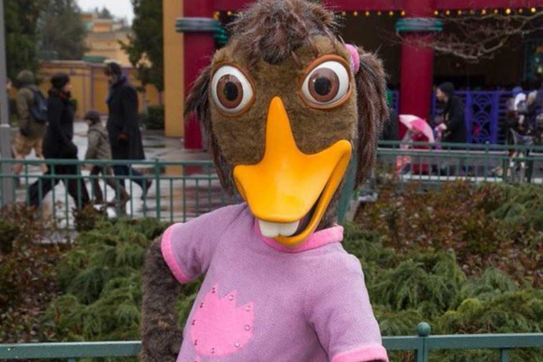 Abby Mallard poses for a photograph Abby Mallard poses for a photograph