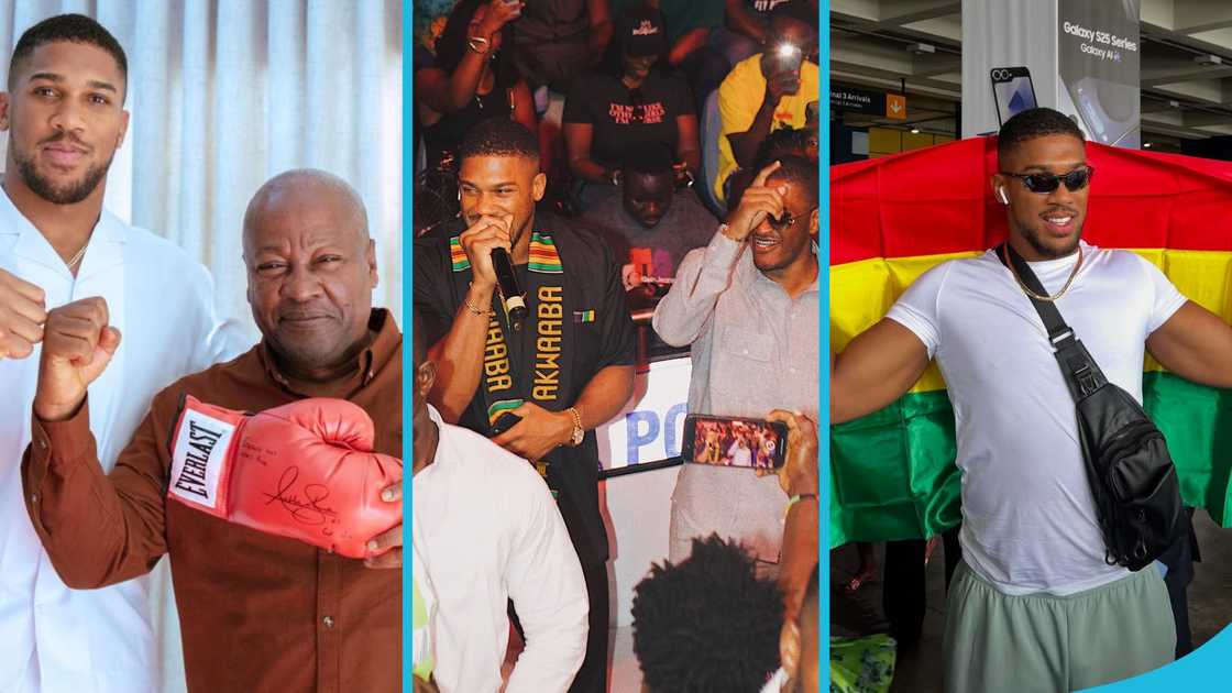 President John Dramani Mahama, Sharaf Mahama, Anthony Joshua, Farida Mahama, Ibrahim Mahama, Ghanaian Boxers, NDC Government, Sports In Ghana President John Dramani Mahama, Sharaf Mahama, Anthony Joshua, Farida Mahama, Ibrahim Mahama, Ghanaian Boxers, NDC Government, Sports In Ghana