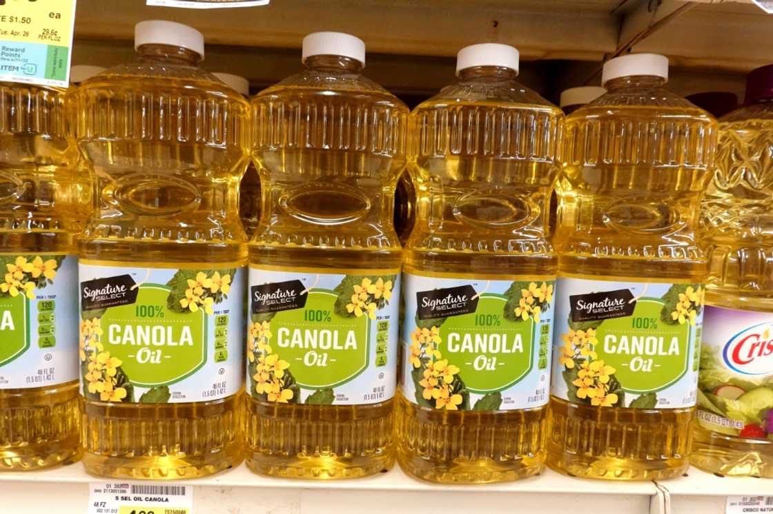 Beijing's probe into Canadian canola oil imports comes after Ottawa unveiled massive levies on Chinese electric vehicles Beijing's probe into Canadian canola oil imports comes after Ottawa unveiled massive levies on Chinese electric vehicles