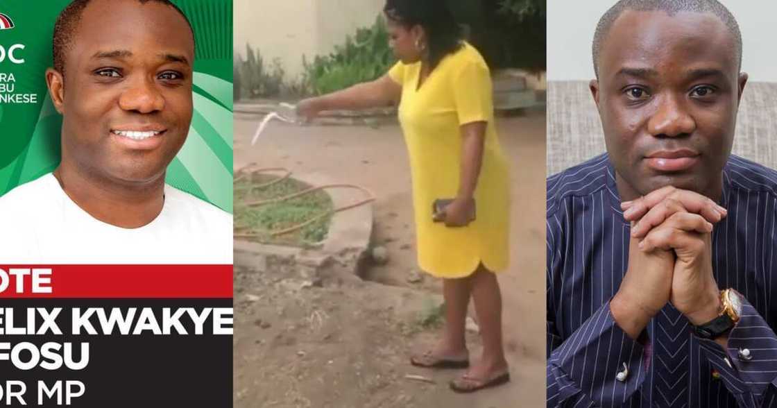 Woman curses Felix Kwakye Ofosu for denying alleged affair in viral