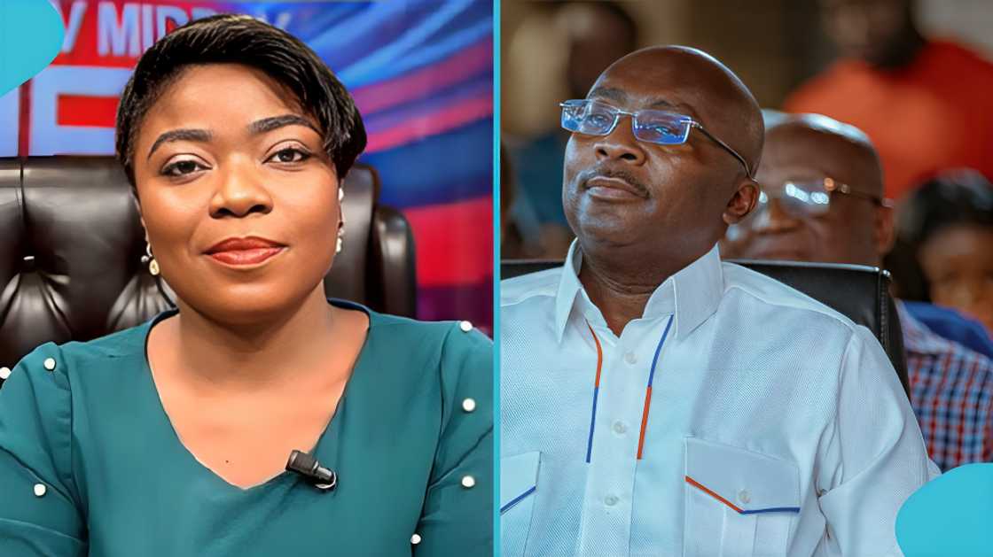 Vim Lady Afia Pokuaa, Ghanaian media personality, sparks social media reaction over NPP appointment and alleged Tourism and Creative Arts committee role, with Arnold Asamoah-Baidoo weighing in amid journalism