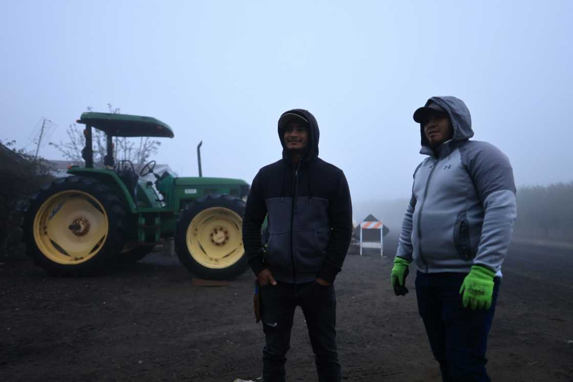 These are anxious times in US farms where President Donald Trump's attempt at a federal funding freeze has left many subsidized projects in limbo These are anxious times in US farms where President Donald Trump's attempt at a federal funding freeze has left many subsidized projects in limbo